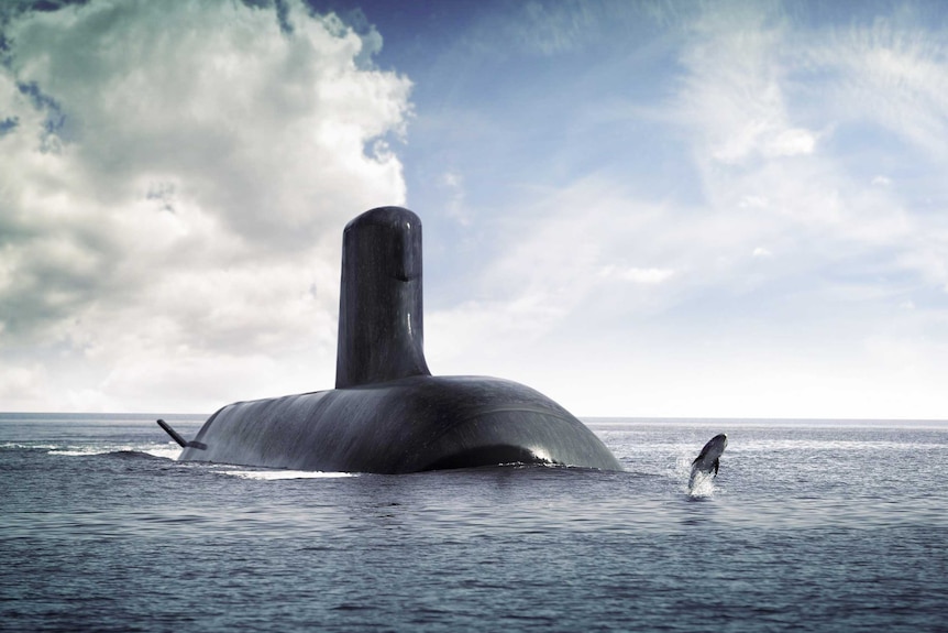 颇具争议的在澳大利亚建造法国设计潜艇的计划将被取消。