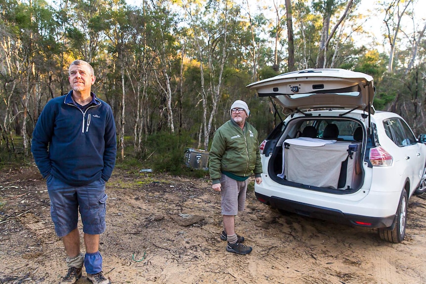Two men stand near a car parked in bushland looking up at the trees and smiling.