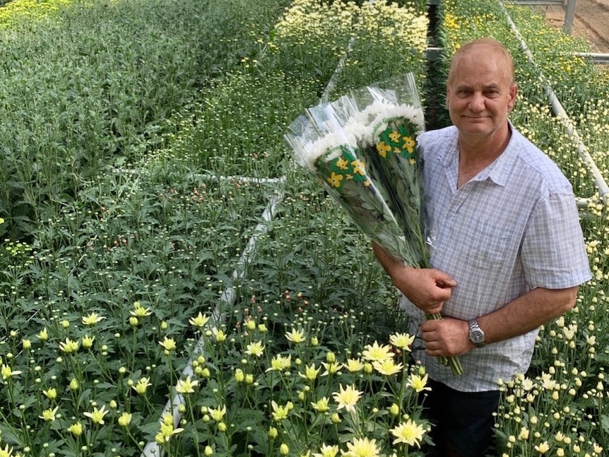 A man is standing in a row of flowers holding bunches in his arms.