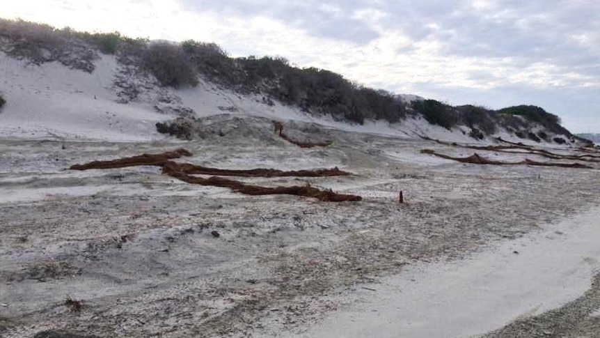 Vandalised Geraldton beach sand traps installed to fight erosion.