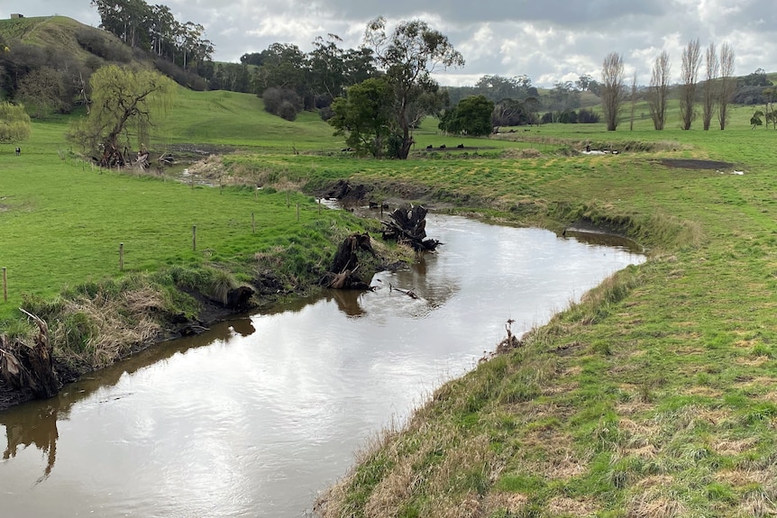 A river winds through green paddocks with very little vegetation.