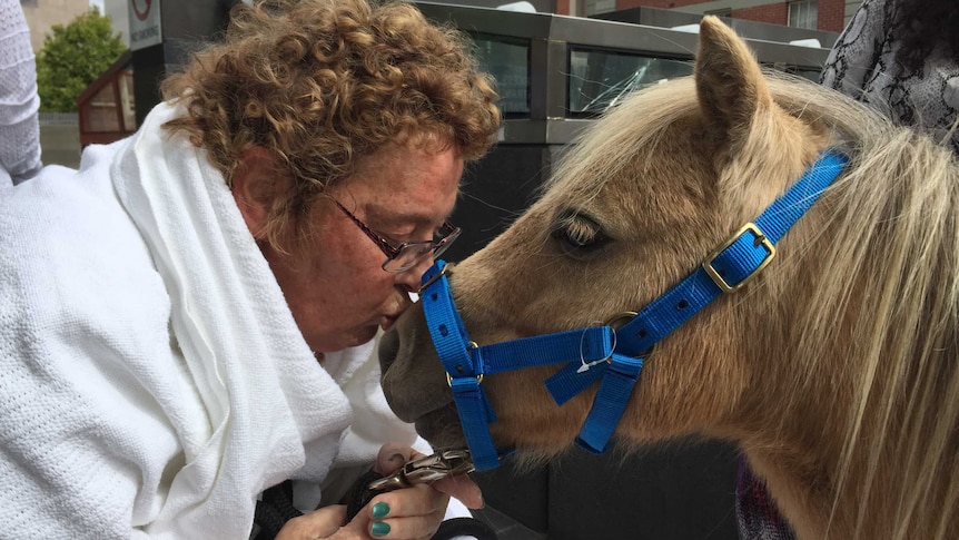 Sally Catherall with her therapy miniature horse
