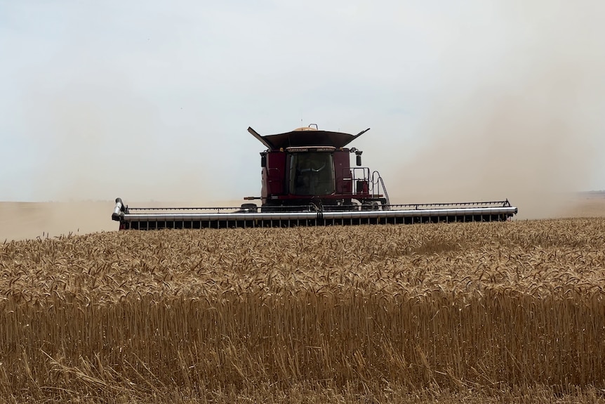 A header at work in a field on an overcast day.