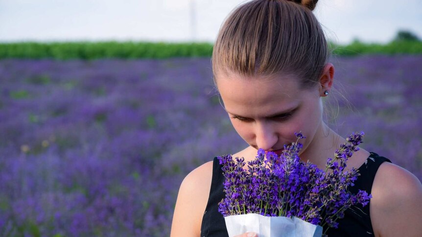 Woman in a field of lavender and smelling a bouquet of lavender