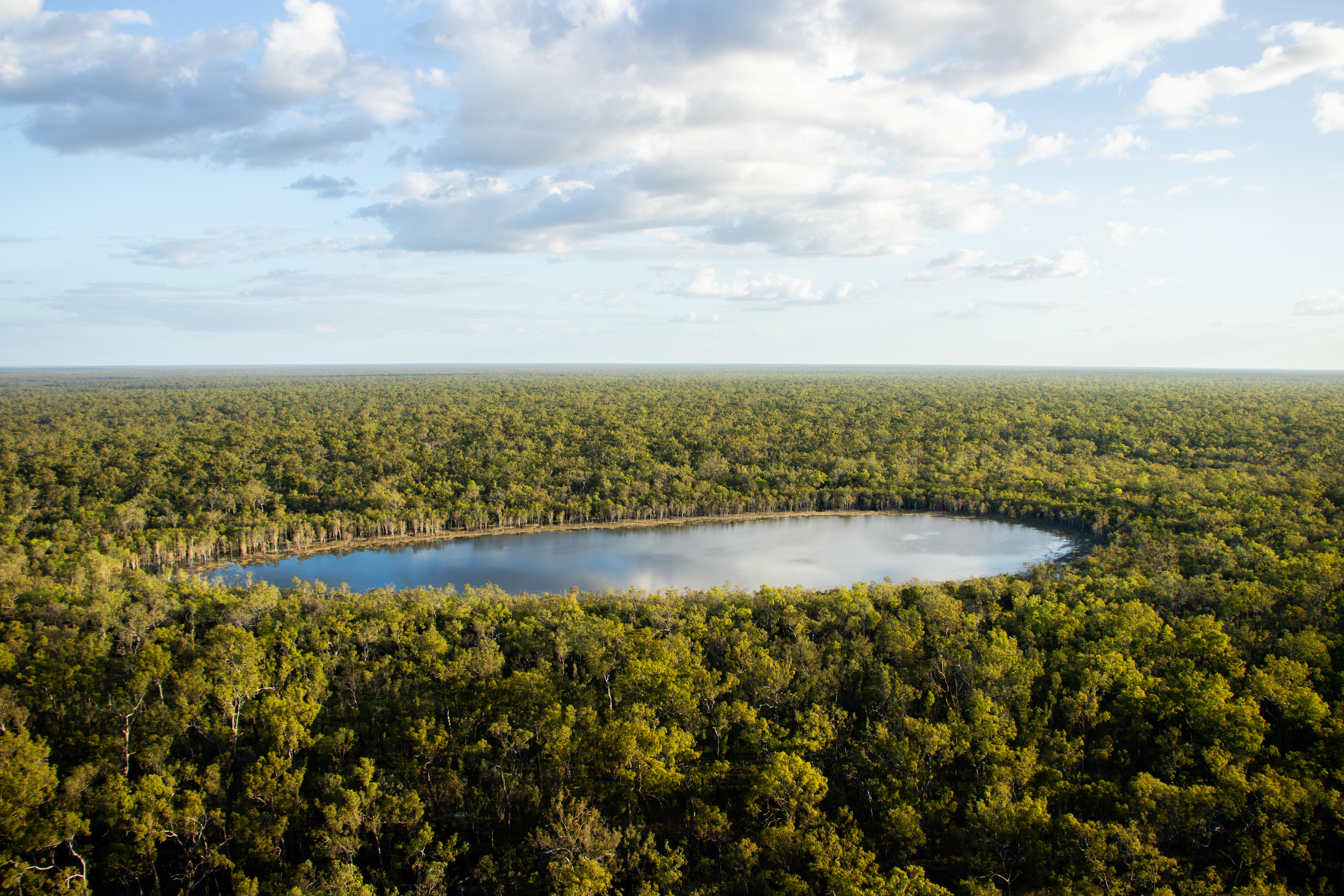 A landscape image of a large lake surrounded by trees.