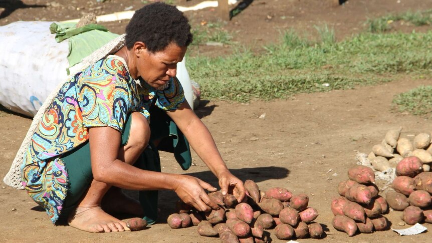A crouched Papua New Guinea woman places sweet potatoes in a small pile on the ground