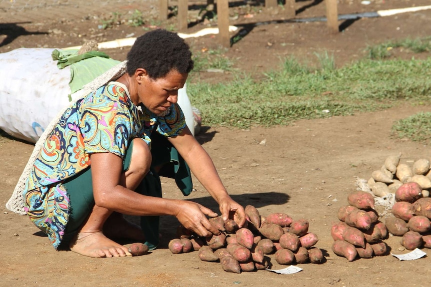 A crouched Papua New Guinea woman places sweet potatoes in a small pile on the ground