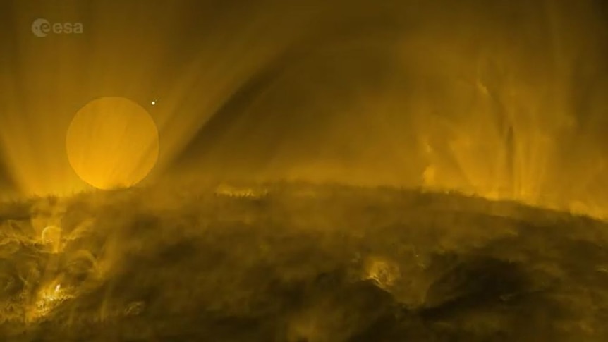 A screengrab of the surface of the sun rendered by scientific instruments.
