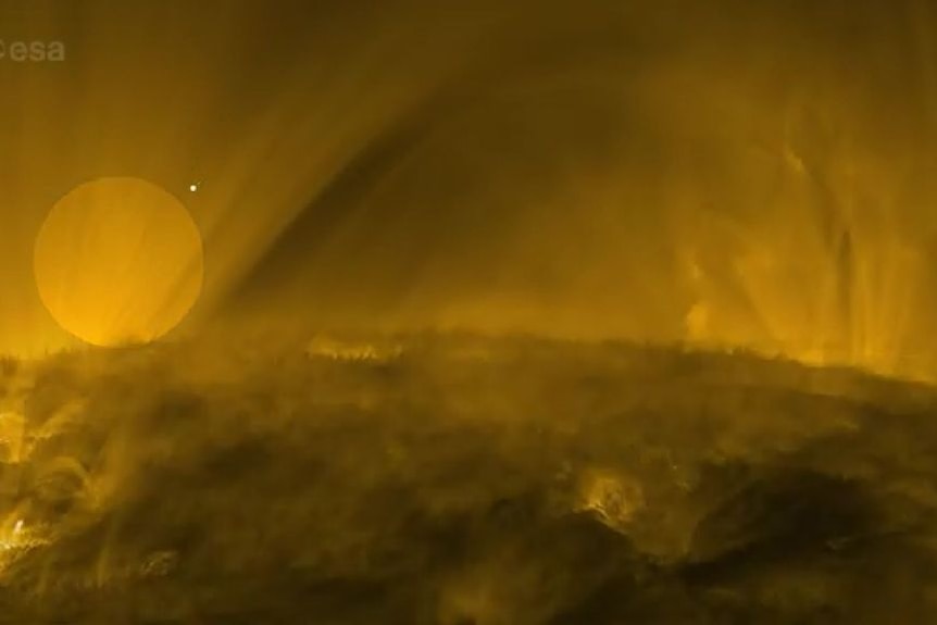 A screengrab of the surface of the sun rendered by scientific instruments.