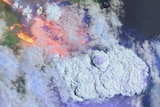 South Coast bushfires in January captured from space.