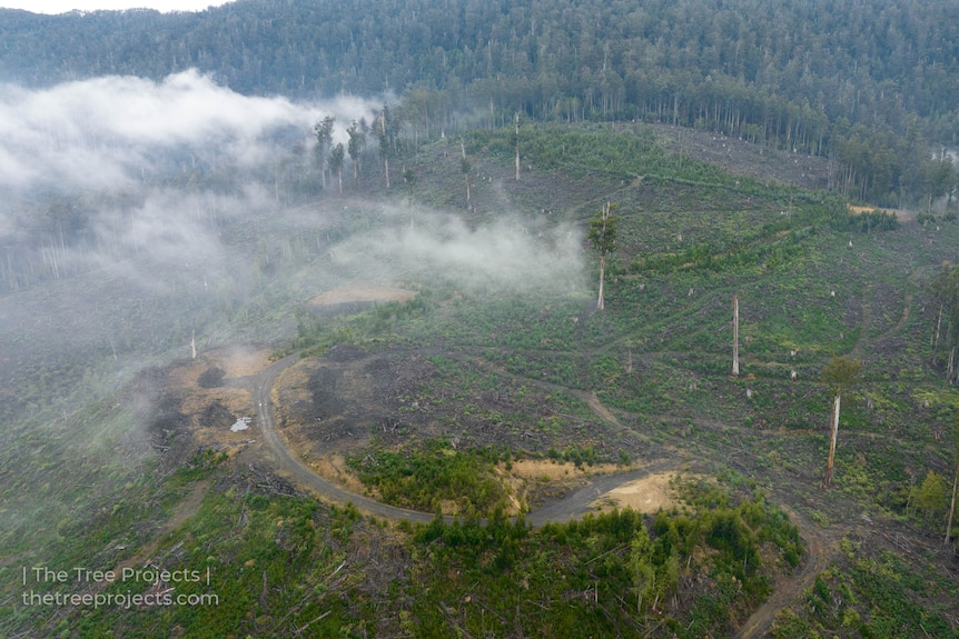 An aerial view of a burning forest.