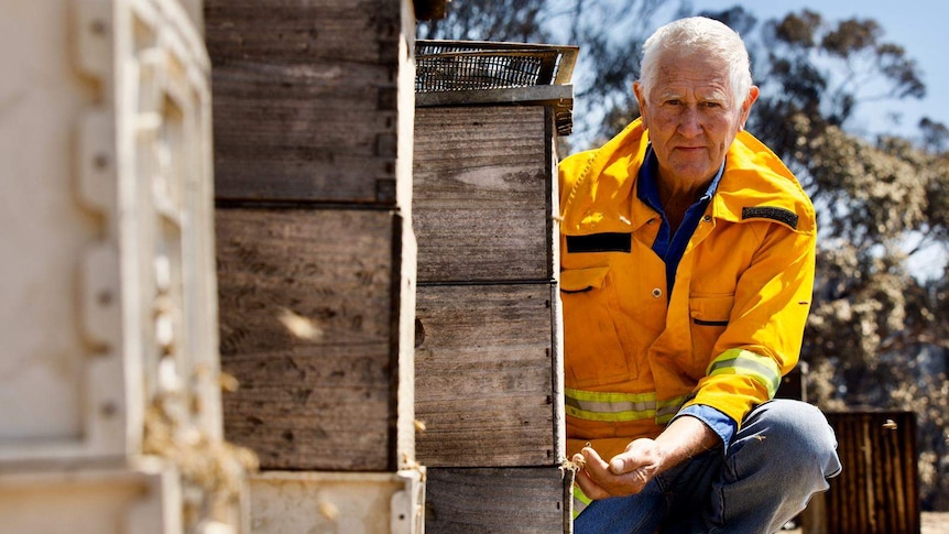 A man in a yellow jacket squatting next to beehives