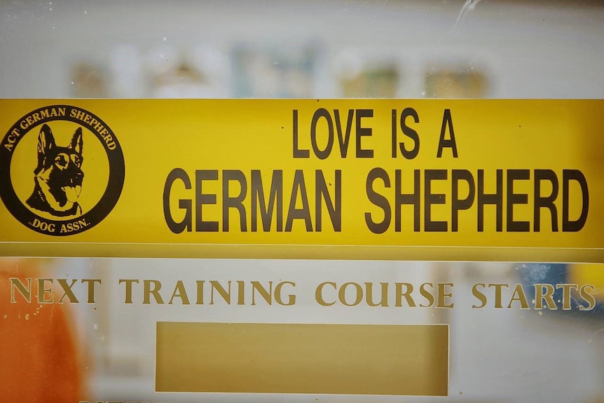 Sign reading "love is a German Shepherd".