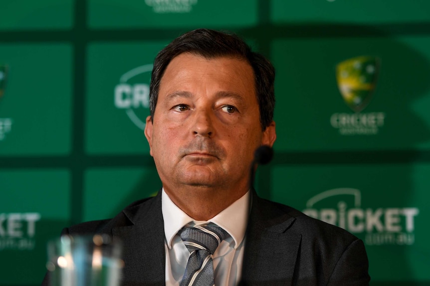 David Peever stepped down as Cricket Australia chairman earlier this month.