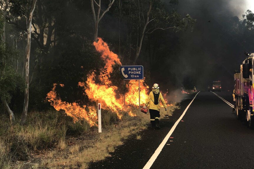 a firefighter walking along burning bushland along a highway