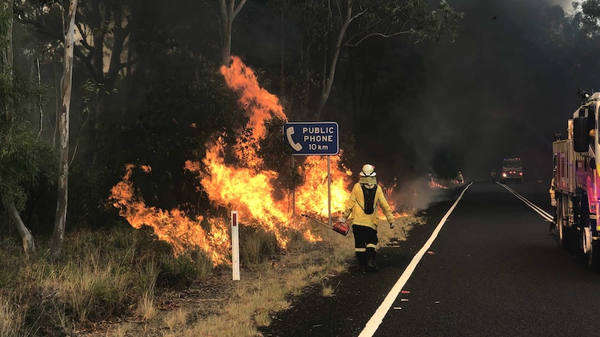 a firefighter walking along burning bushland along a highway