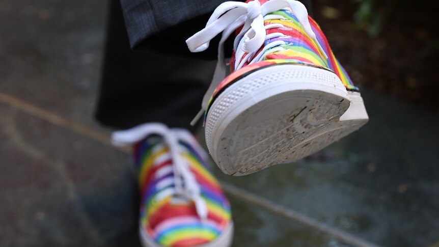 A pair of rainbow sneakers.