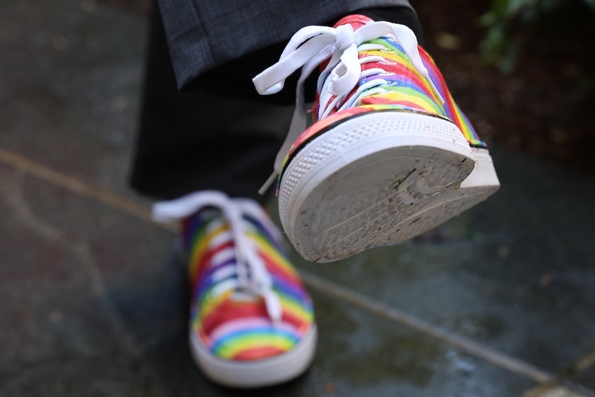 A pair of rainbow sneakers.