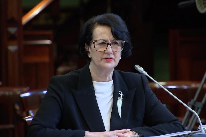 SA Deputy Premier Vickie Chapman appears before a parliamentary committee.