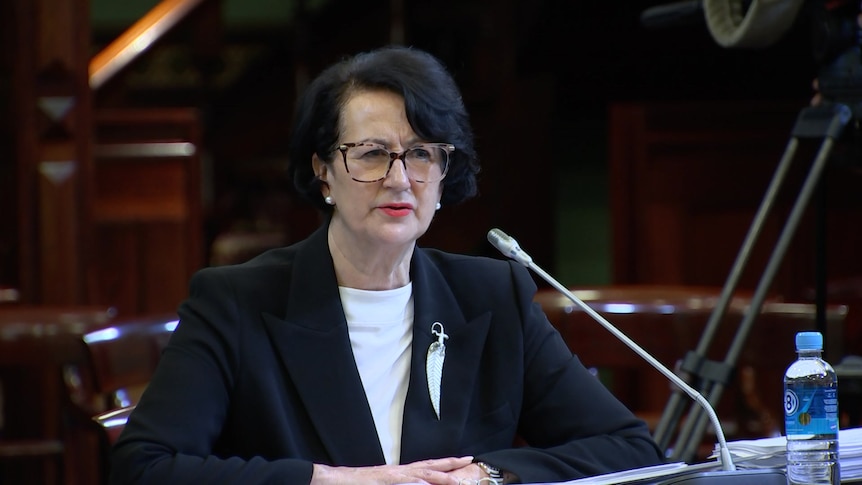 SA Deputy Premier Vickie Chapman appears before a parliamentary committee.