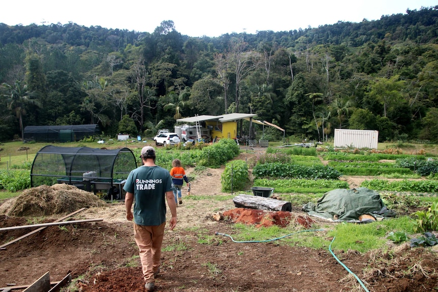 A valley farm bush surrounding, containers, sheds and a caravan midground. A couple walking between veggie patches foreground