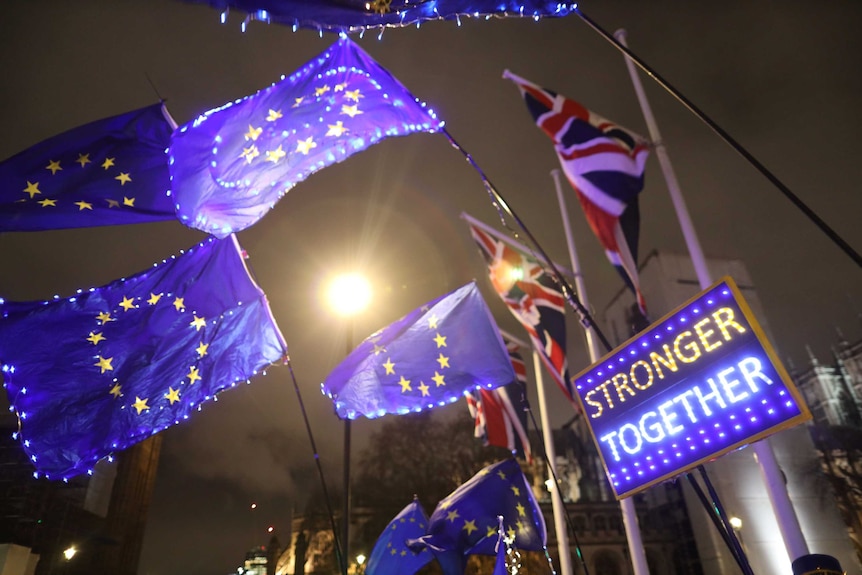 Remainers in London waving EU flags at night