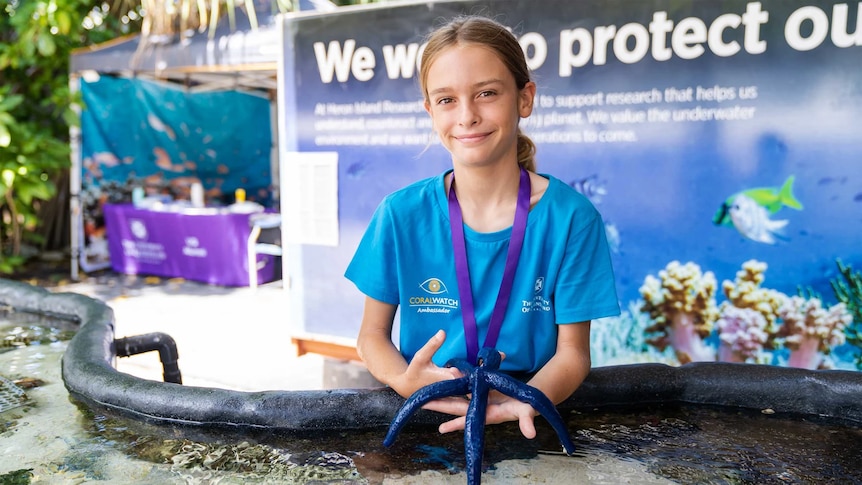 A 10-year-old boy with hair tied up in a bun holds a deep-blue starfish behind an plastic rock pool.