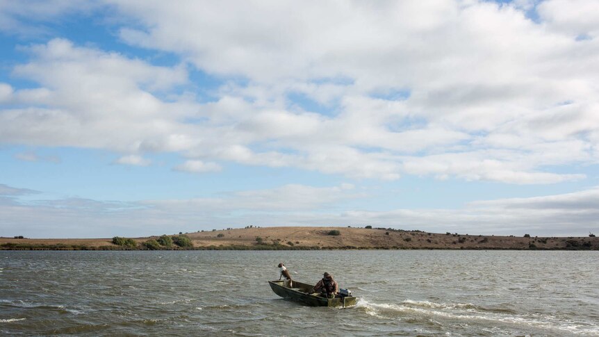 Dean Rundell steers his boat through the open water on Lake Connewarre, his dog leaning into the wind.