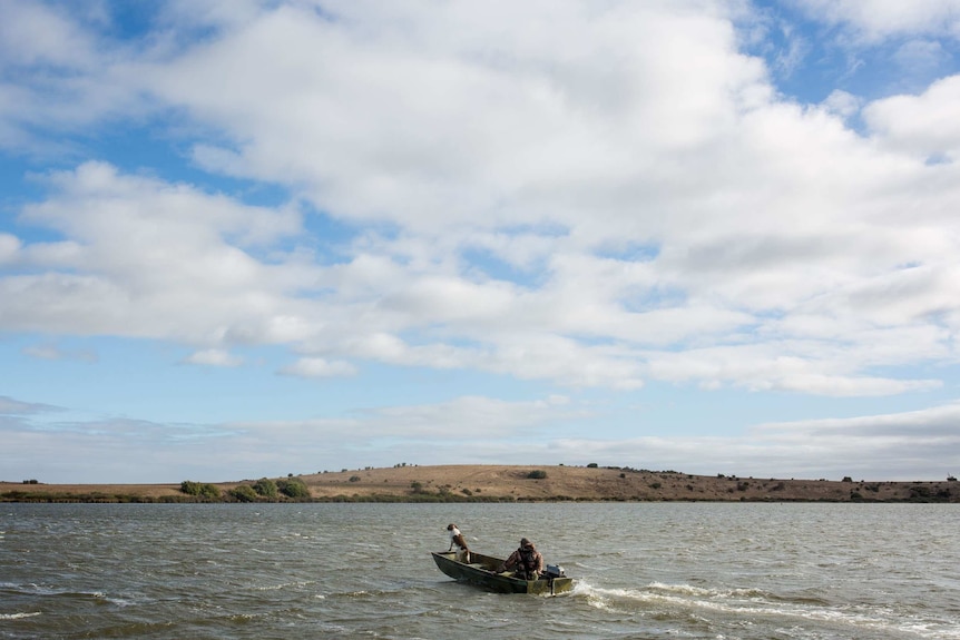 Dean Rundell steers his boat through the open water on Lake Connewarre, his dog leaning into the wind.