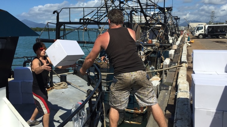 Crew members loading stores onto a prawn trawler at Cairns wharf