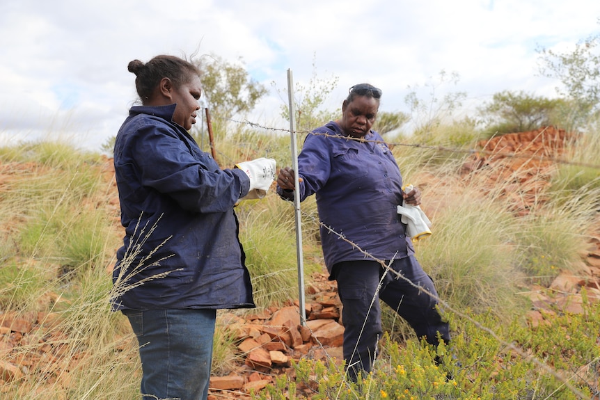 Two Aboriginal women rangers stand on either side of a fence, putting it together.
