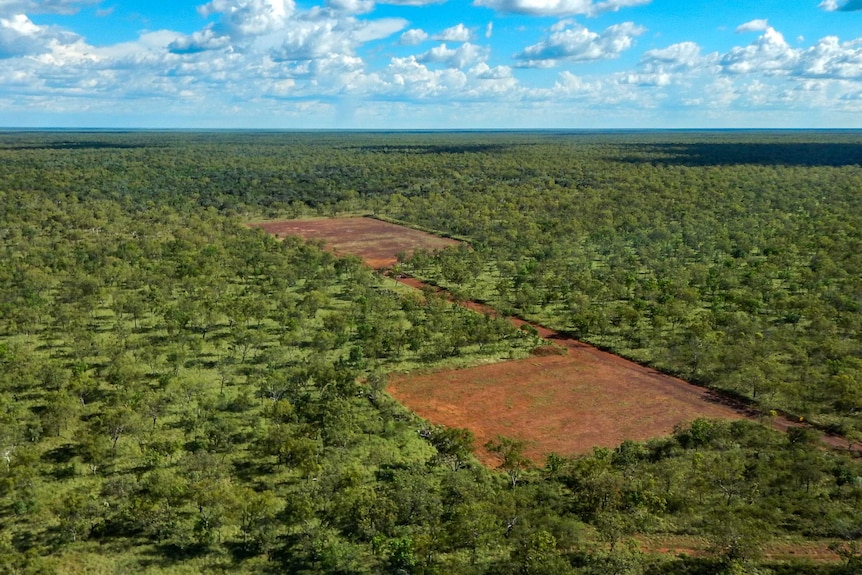 Two large brown patches cleared into a lush green landscape.