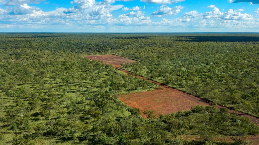 Two large brown patches cleared into a lush green landscape.