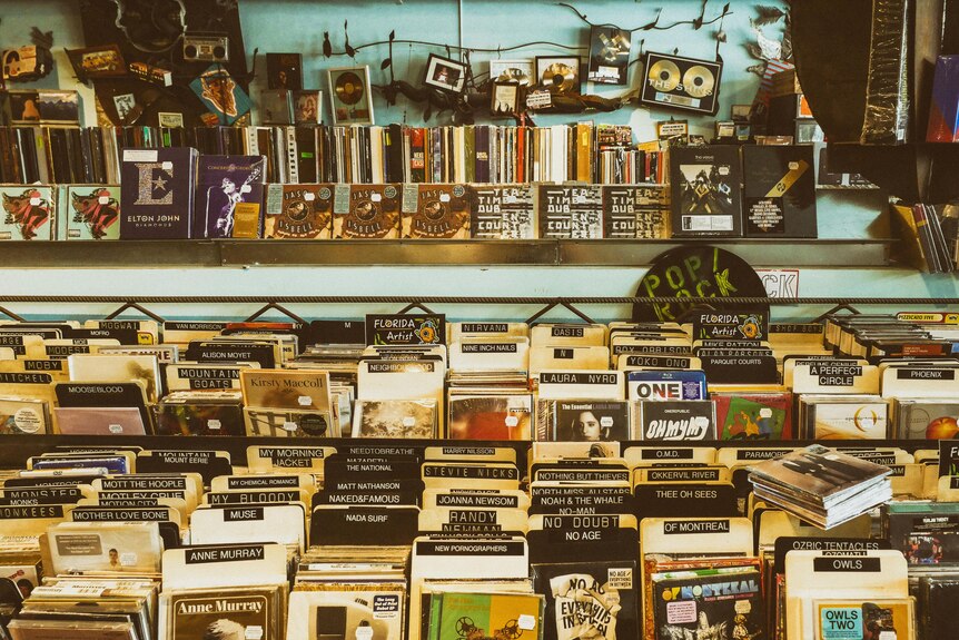 Records packed together in rows in an old record store