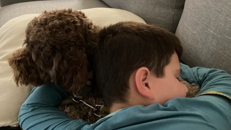 A boy cuddles his assistance dog.