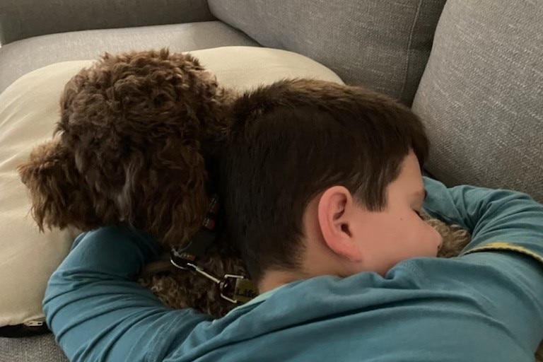 A boy cuddles his assistance dog on a couch.