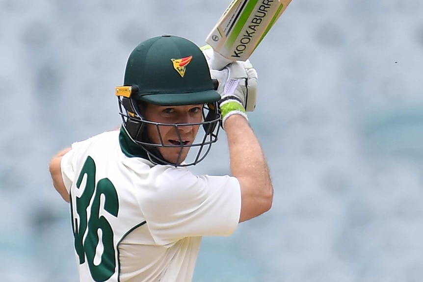 Tim Paine bats for Tasmania