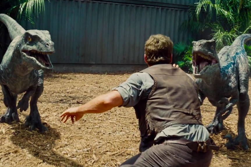 a screenshot of Jurassic Park movie showing Chris Pratt feeding two velociraptors