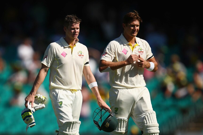 Smith, Watson take a break at drinks against India