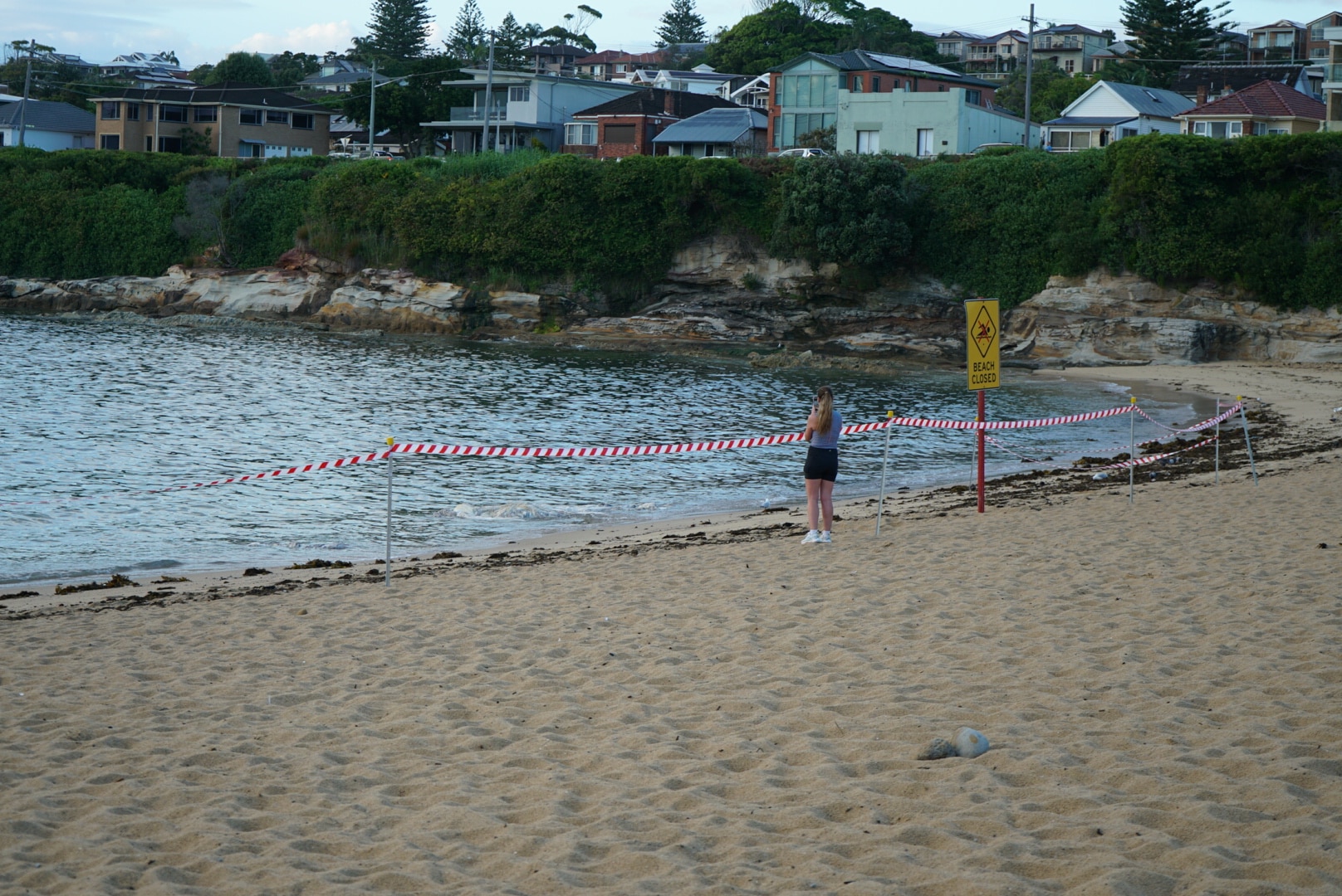 a woman photographs a whale carcass surrounded by fencing