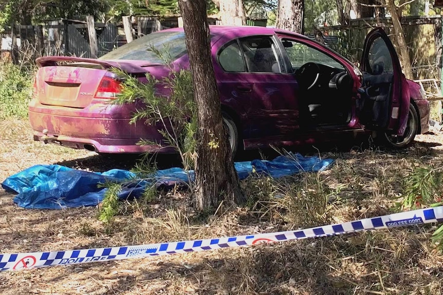A purple sedan being investigated by forensic police