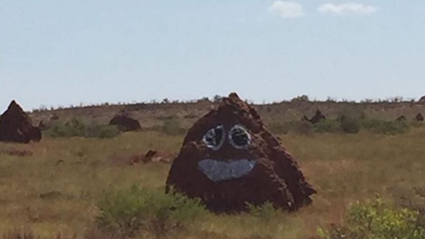A termite mound with eyes and a mouth painted on