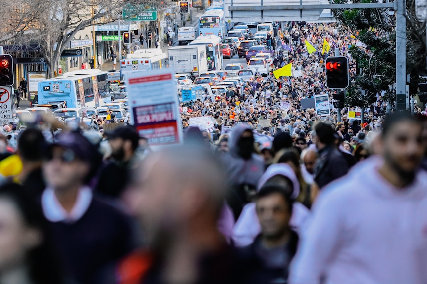 Crowds at protest