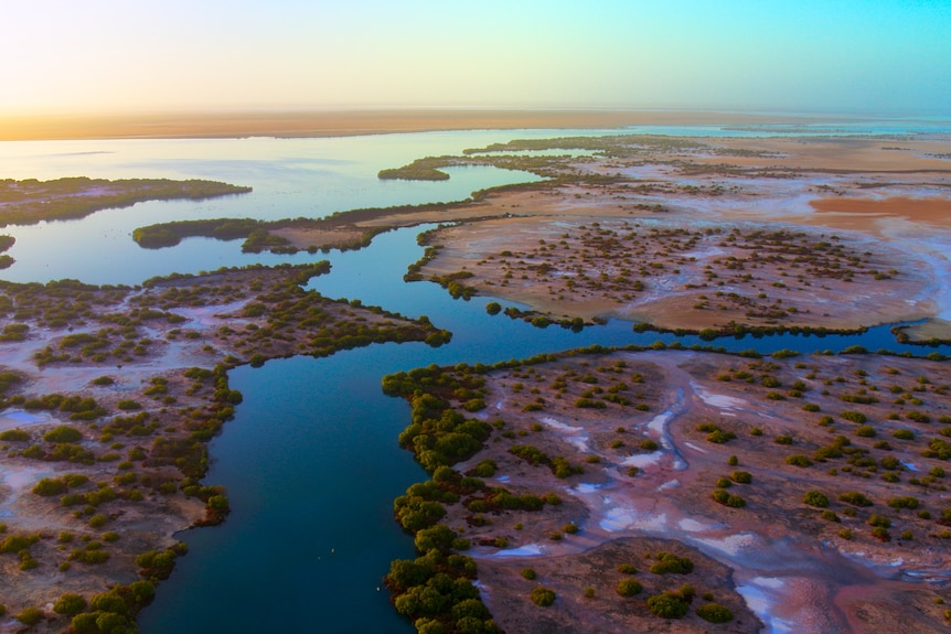 An aerial shot of water pools and mangroves at sunrise in an otherwise arid landscape