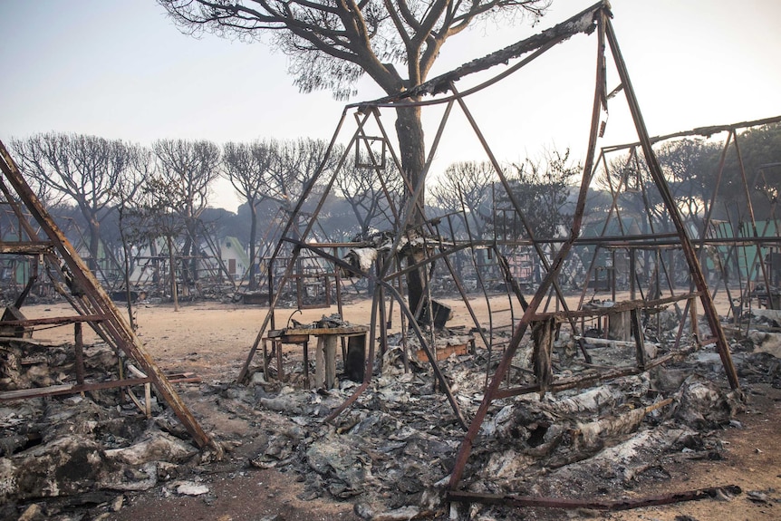 A view of a charred campsite near Mazagon in southern Spain. There are twisted metal structures and burnt trees.