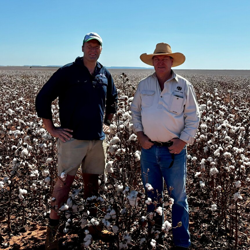 David Jochinke from the National Farmers Federation and David Connolly from Tipperary Station, standing in a cotton field.