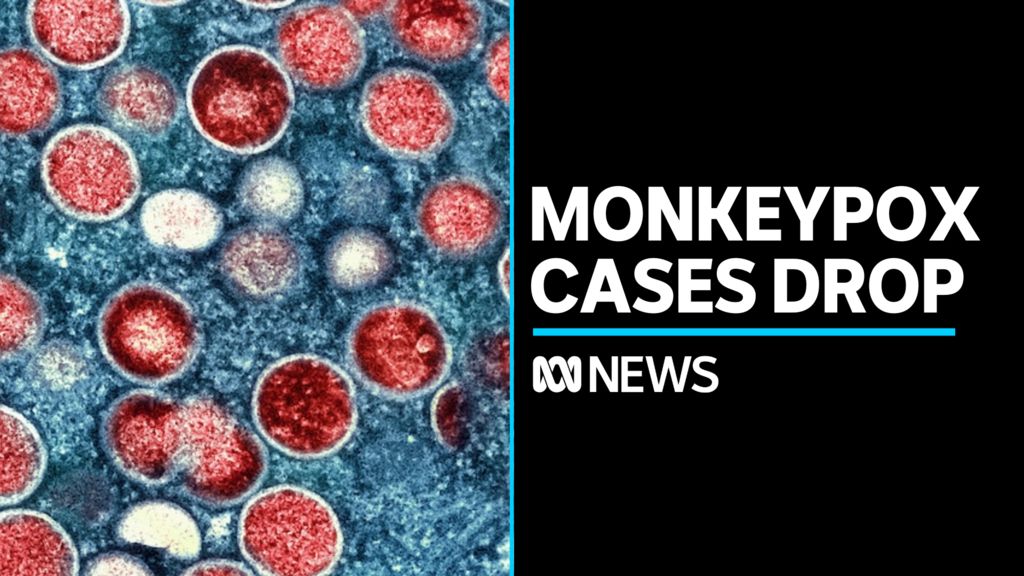 World Health Organization Declares End To Mpox Global Health Emergency ...