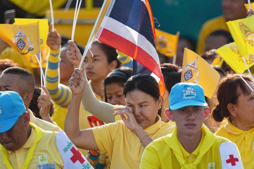 You see a crowd wearing bright yellow clothes with a woman in the centre waving a Thai flag crying.