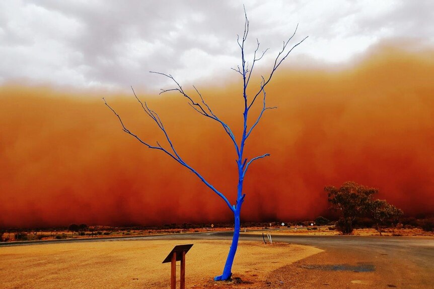 A tree painted blue with a big dust storm approaching from behind.