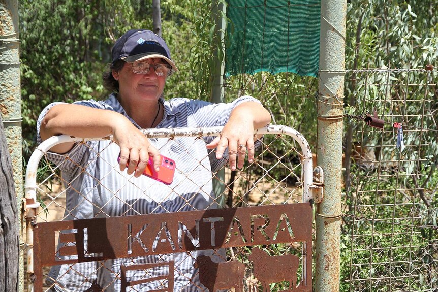 Jenny Gordon leaning on the gate of her homestead to check in on the 'Who got the rain?' Facebook page on her smartphone